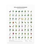 Pflanzkalender und Aussaatkalender für den Garten, Aussaatzeiten für 64 verschiedene Gemüsesorten als Poster (A2 42x59.4cm (nur das Poster))