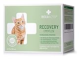 RECOACTIV Recovery Immun für Katzen, 3 x 90 ml, hochkalorisches Diät-Alleinfuttermittel bei Mangelernährung und in der Rekonvaleszenz, zur Gewichtszunahme sowie bei Nahrungsverweigerung