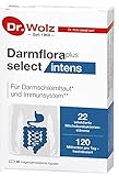 Darmflora plus select intens Dr. Wolz | hochdosierte Bakterienkulturen 100 Mrd/Tag | 18 Kulturen | widerstandsfähige, selektierte Milchsäurebakterien | 40 Kapseln