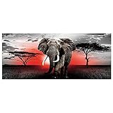 DCIDBEI 110 x 50 cm 5D Runde Diamond Painting Großes Format Landschaft Afrika Malen nach Zahlen Tier Anime, Kreuzstich Diamant Kunst Handwerk Haus Eingang Wanddekoration Afrikanischer Elefant