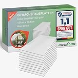 Exeta 10x Gewächshausplatten 6 mm I Polycarbonat Hohlkammerplatten für Gewächshäuser I PC Doppelstegplatten UV-beständig & bruchsicher I für Garten, Frühbeet uvm I 60,5cm x 121cm I Transp