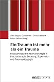 Ein Trauma ist mehr als ein Trauma: Biopsychosoziale Traumakonzepte in Psychotherapie, Beratung, Supervision und Traumapädagogik