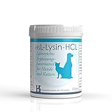 L-Lysin HCL 100g - Ergänzungsfuttermittel für Hunde & Katzen - Einsatz bei Haustieren mit geschwächtem Immunsystem - ohne Zusatz von Getreide!