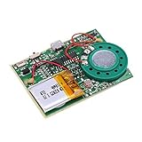 Zerone Re-recordable USB Musik Ton Sprachaufnahme Spieler Chip Modul 1W Aufladbarer Lithium Batterie mit 480 Sekunden Aufnahme für DIY Karten/Spielwaren (Lichtempfindlich kontrollieren)