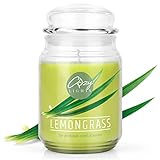 Cozy Lights Große Duftkerze Lemongrass 625ml - bis 140 Stunden Brenndauer I Duftkerzen im Glas groß mit Deckel, Citronella Kerze Outdoor gegen Mücken