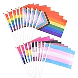 Flagge Regenbogen Stolz Kleine LGBTQ Fahnen für Laufstege Fahnen Fahnen Stolz Gay Lesben für Mardi Gras Regenbogen Party 20 Pack