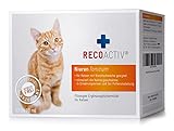 RECOACTIV Nieren Tonicum für Katzen, bei Anzeichen Einer Nierenfunktionsstörung, in der Rekonvaleszenz und zur Prophylaxe. Hochwertiges Protein, Appetit anregendes Ergänzungsfuttermittel 3 x 90 ml