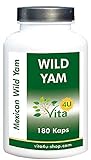 Wild Yam Wurzel 10% Extrakt | 150mg Diosgenin x 90 Tage | 180 Kapseln mit je 750mg Wild Yam Extrakt Pulver | vegan & hochdosiert | Preis-Leistungs-Tip: 90 Tagesrationen zu je 150mg Diosgenin