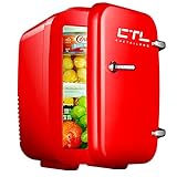 Auto-Kühlschränke, Mini-Kühlschrank, 4 Liter/6 Dosen, tragbarer Kühler und Wärmer, persönlicher Kühlschrank für Hautpflege, Kosmetik, Lebensmittel, ideal für Schlafzimmer