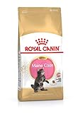 Royal Canin Katzenfutter Feline Kitten Maine Coon 36, 10 kg, 1er Pack (1 x 10 kg)