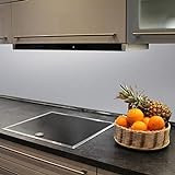 Küchenrückwand Kunststoffplatte Wandverkleidung Fliesenspiegel pflegeleicht 2 mm, Farbe:Hellgrau Metallic Silber 2 mm, Abmessungen:2160 x 500 mm