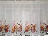 Voile-Vorhang Winnie Puuh, mit Schlitzen, 300 cm, 150 Stück