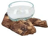 GURU SHOP Wurzelholzvase mit Kerze, Teelichtglas aus Mundgeblasenem Glas - Flach, Braun, 9x13x11 cm, Teelichthalter & Kerzenhalter