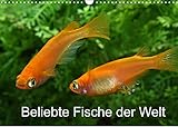 Beliebte Fische der Welt (Wandkalender 2022 DIN A3 quer) [Calendar] Pohlmann, Rudolf