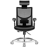 HomeGoGo PC Stuhl, Schreibtisch Stuhl Mesh Büro Stuhl Ergonomischer Stuhl für Zuhause, Verstellbarer Gaming Stuhl mit Kopfstütze, Armlehne und Lenkrolle für Männer und Frauen