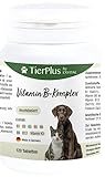 EXVital Tierplus Vitamin B Komplex für Hunde & Katzen- B1, B2, B3, B5, B6, B9, B12, K3, 120 Tabletten, hochdosiert- Made in Germany