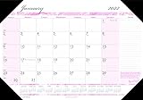 House of Doolittle Monatlicher Schreibtischunterlage 2022 Kalender für Brustkrebs, 55,9 x 43,2 cm, Januar - Dezember (HOD1467-22)
