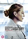 Grey's Anatomy Season 17 [UK Import]