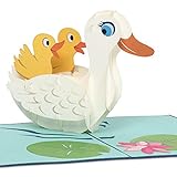papercrush® Pop-Up Karte Ente - 3D Geburtstagskarte für Mutter oder Kinder, Handgemachte Glückwunschkarte mit Baby Enten - Geburtskarte für Zwillinge, Glückwunsch zur Geburt von Mädchen und Jungen