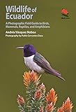 Wildlife of Ecuador: A Photographic Field Guide to Birds, Mammals, Reptiles, and Amphibians (Wildlife Explorer Guides) (English Edition)