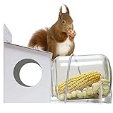 PFNRTH Eichhörnchen Futterhaus, Hinterhof Gallone Glas Eichhörnchenfutterhaus, für den Außenbereich, genießen Sie den Spaß der Eichhörnchen Essen Mais, Erdnüsse und Samen.