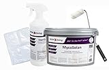 MycoSolan Schimmel-Sanier-Set und Anti-Schimmel-Set mit Schimmelentferner, Streichwerkzeug und Innenfarbe gegen Schimmel (5,0 Liter)