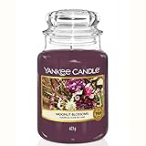 Yankee Candle Duftkerze im großen Jar, Moonlit Blossoms