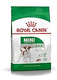 Royal Canin 35206 Mini Adult - Hundefutter, 1er Pack (1 x 8 kg)
