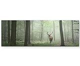 Paul Sinus Art Leinwandbilder | Bilder Leinwand 150x50cm Hirsch im Wald