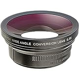 Raynox DCR 732 Wideangle Conversion Lens für 37mm/43mm/46mm Filter (0,7-Fach)
