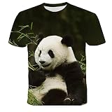 HDHGKYY Animal Panda Bamboo Leaf 3D T-Shirt Schnelltrocknendes Top Jungen Mädchen R