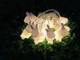 Osterhasen-Deko-Licht - LED Lichterkette mit 10 LED in warmweiß,Ostern Lichter ,wasserdichte Hasen-Lichterkette, ca. 1.5 m lang, Innen- und Außenbereich, für Partys, Osterdekoration , Deko, Hochzeit