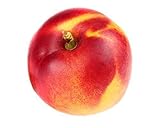 Zwerg-Nektarine 100-120 cm Stämmchen Prunus persica nucip