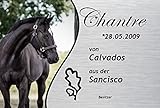 Premium Boxenschild Pferd mit Rahmen | Mit Foto und Text | Personalisierbar | 30x20cm | Lefti Picture Metallic | HORSESHIELD
