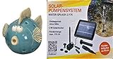 powershop11 Wasserspeier Kugelfisch 12 cm mit Solar
