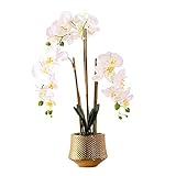 Qucover Kunstpflanze Orchidee Phalaenopsis weiß mit Übertopf aus Keramik weiß，Schön Dekoration für Schlafzimmer Wohnzimmer Balkon Badezimmer Zimmer Tischdeko Hochzeit usw.(Weiß, 54 cm
