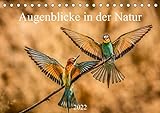 Augenblicke in der Natur (Tischkalender 2022 DIN A5 quer) [Calendar] Masserer, Philipp [Calendar] Masserer, Philipp