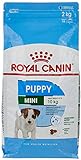 Royal Canin Mini Junior Trockenfutter für Hunde, 2 kg