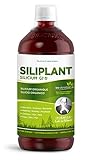 G7 Siliplant Verbesserte Formel. Silizium Flüssig auf Pflanzenbasis. Silizium Hochdosiert ideale für Knochen, Gelenke Vitamine, Haarvitamine und Nägeln. Erhöht die Elastizität der Haut. 33 Tage Kur.
