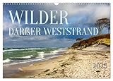 Wilder Darßer Weststrand (Wandkalender 2025 DIN A3 quer), CALVENDO Monatsk