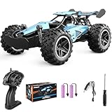 Pmgud Ferngesteuertes Auto, 2,4 GHz 1:18 Proportional 2WD 20+ km/h Hobby Offroad Monster RC Truck, wasserdichte RC Truggy RTR Geländegängig Spielzeug-b