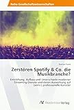 Zerstören Spotify & Co. die Musikbranche?: Entstehung, Aufbau und Unterschiede moderner Streaming-Dienste und deren Auswirkung auf (semi-) professionelle Künstler