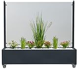 Trendyshop365 Mobiler Windschutz Anthrazit 200cm mit Rollen Klarglasscheibe Eckig Vormontiert Pflanzkasten XXXL