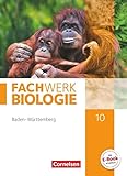 Fachwerk Biologie - Baden-Württemberg - 10. Schuljahr: Schulbuch