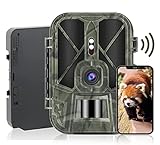 YTLJJ WLAN Bluetooth WiFi Wildkamera mit 10000mAh Lithiumbatterie, 4K 36MP Jagdkamera APP HandyüBertragung, Fotofalle Nachtsichtgerät-Bewegungsmelder, IP66 Wasserdicht, 0.3s Fast Trigger Sensor