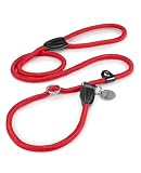 lionto Retrieverleine robust und wetterfest für Hunde Aller Größen, schnell anzulegende Hundeleine und Halsband in Einem, 170 cm, fellschonende Führleine mit integriertem Zugstopp, vegan,