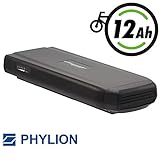 JoyCube Phylion Akku 48V 11,6Ah Wall-ES für E-Bikes Pedelecs für Fischer u.a.
