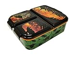 Kinder Brotdose Lunchbox Sandwichbox - Brotdose Kinder Lunchbox mit Fächern - Brotbox mit Unterteilung - Brotdose Kindergarten - Kinder Brotdose aus Kunststoff BPA frei (Dinosaurier Dino)