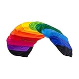 Wolkenstürmer® Paraflex Basic 2-Leiner Lenkmatte 1.7 Rainbow - Kite Drachen mit Flugschlaufen – Zweileiner Lenkdrachen - Flugdrachen für Anfänger & Kinder ab 6 Jahren