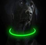 Toozey LED Leuchthalsband Hund für die Nacht, USB Wiederaufladbar / Schneidbares Blinkhalsband Hundehalsband für Hunde - Erhöhte Sichtbarkeit und Sicherheit für Ihre Haustiere - 3 Modi (Grün)